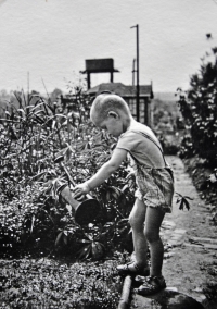 Václav Kaňka v zahrádkářské kolonii na Trojském ostrově v Praze (1943)